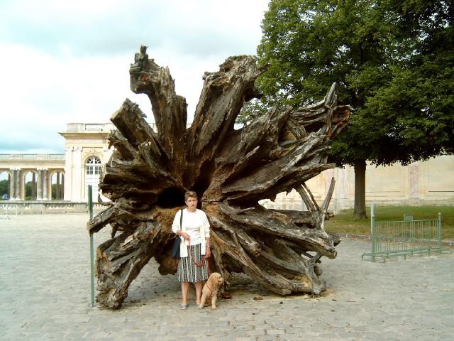 Versailles 2