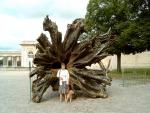 Versailles 2