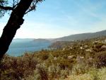 La Cote2 copy