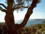 La Cote3 copy