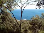 La Cote4 copy