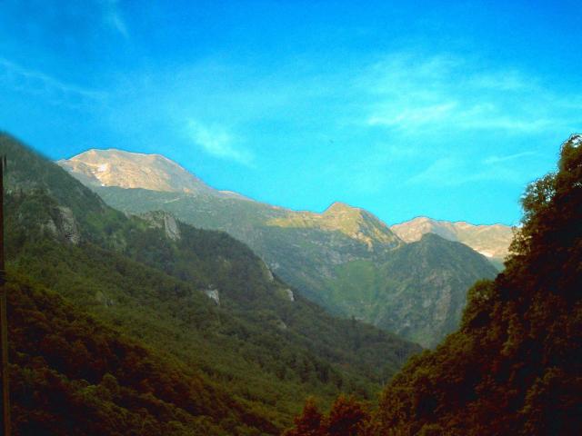 Salau
