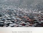 Bruno Barbey - Pélerinage de Kalwaria, Pologne,1981