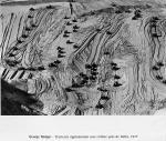 Georges Rodger - Tracteurs aplanissant une colline prés de Delhi, 1977