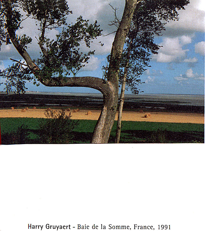 Harry Gruyaert - Baie de la Somme, France, 1991