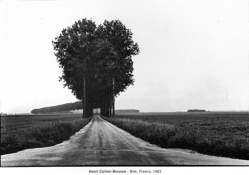 Henri Cartier-Bresson - Brie,France,1983