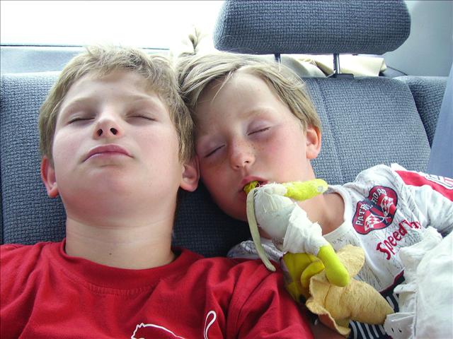 Luc et Romain