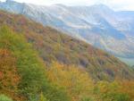 Automne