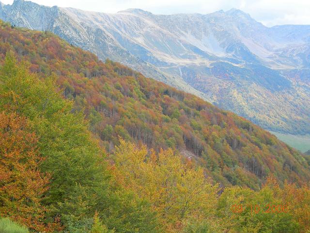 Automne